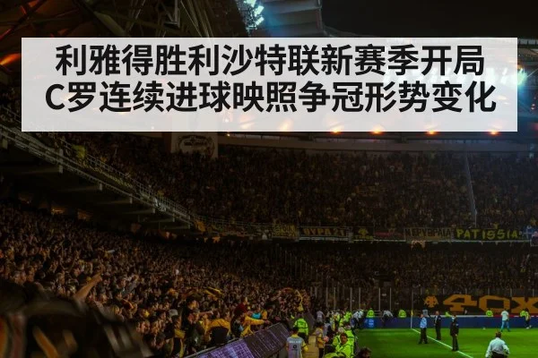 football stadium night crowd